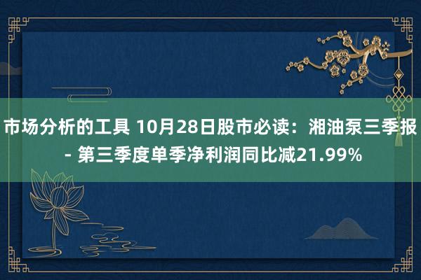 市场分析的工具 10月28日股市必读：湘油泵三季报 - 第三季度单季净利润同比减21.99%