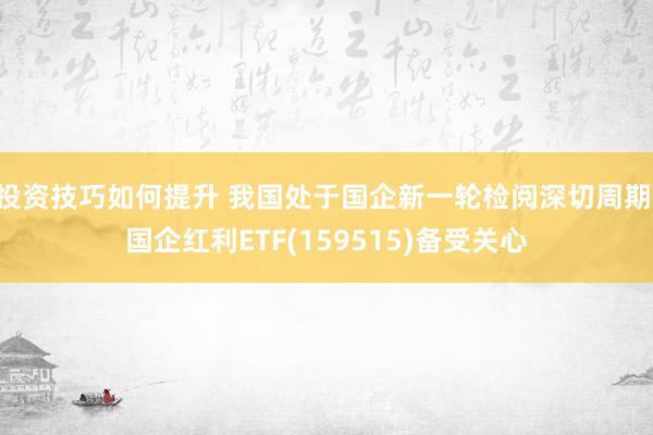 投资技巧如何提升 我国处于国企新一轮检阅深切周期 国企红利ETF(159515)备受关心