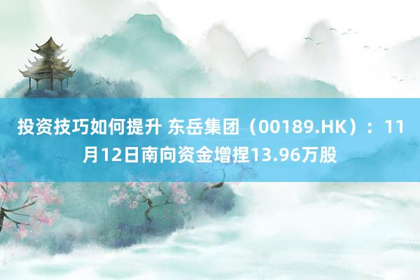 投资技巧如何提升 东岳集团（00189.HK）：11月12日南向资金增捏13.96万股