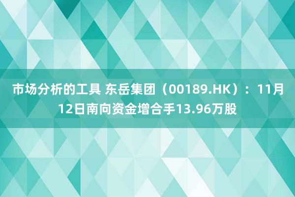 市场分析的工具 东岳集团（00189.HK）：11月12日南向资金增合手13.96万股