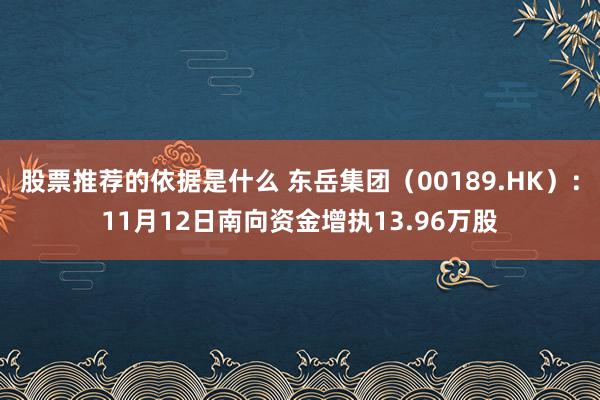 股票推荐的依据是什么 东岳集团（00189.HK）：11月12日南向资金增执13.96万股