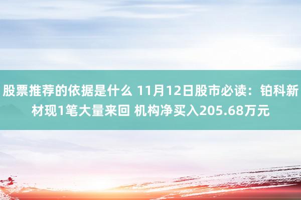 股票推荐的依据是什么 11月12日股市必读：铂科新材现1笔大量来回 机构净买入205.68万元