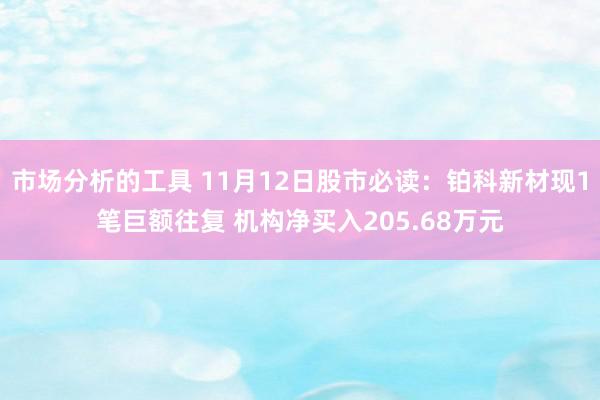 市场分析的工具 11月12日股市必读：铂科新材现1笔巨额往复 机构净买入205.68万元