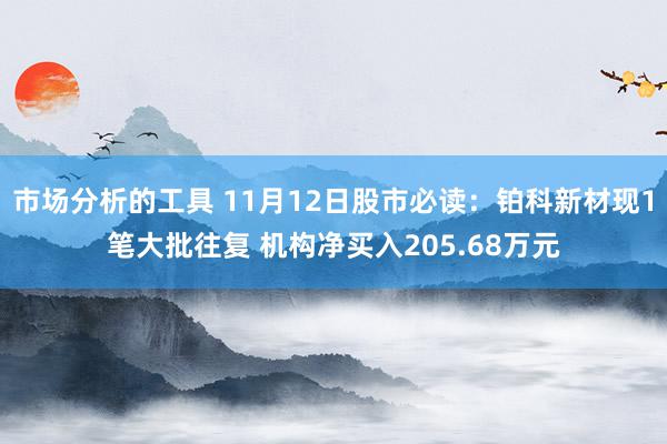 市场分析的工具 11月12日股市必读：铂科新材现1笔大批往复 机构净买入205.68万元