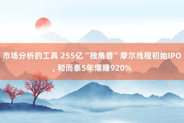 市场分析的工具 255亿“独角兽”摩尔线程初始IPO, 和而泰5年爆赚920%