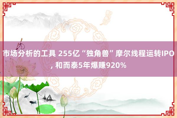 市场分析的工具 255亿“独角兽”摩尔线程运转IPO, 和而泰5年爆赚920%