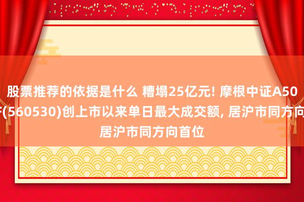 股票推荐的依据是什么 糟塌25亿元! 摩根中证A500ETF(560530)创上市以来单日最大成交额, 居沪市同方向首位