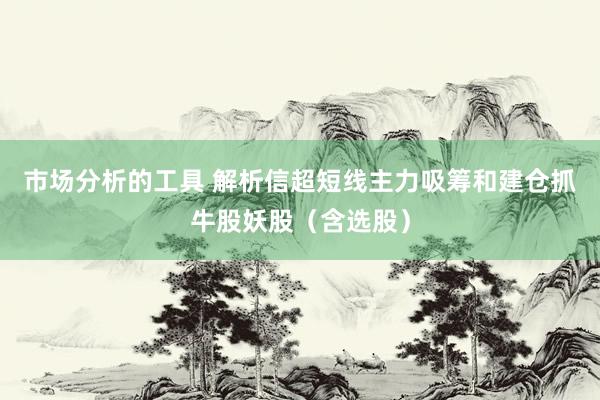 市场分析的工具 解析信超短线主力吸筹和建仓抓牛股妖股（含选股）