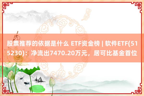 股票推荐的依据是什么 ETF资金榜 | 软件ETF(515230)：净流出7470.20万元，居可比基金首位