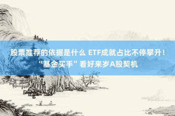 股票推荐的依据是什么 ETF成就占比不停攀升！“基金买手”看