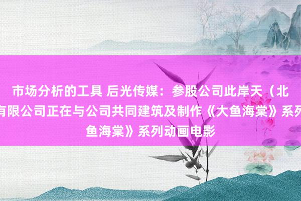 市场分析的工具 后光传媒：参股公司此岸天（北京）文化有限公司正在与公司共同建筑及制作《大鱼海棠》系列动画电影