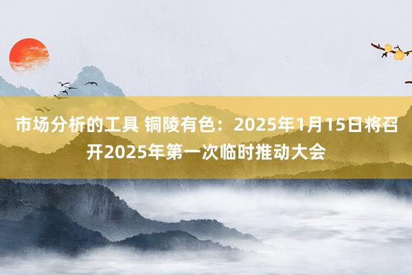 市场分析的工具 铜陵有色：2025年1月15日将召开2025