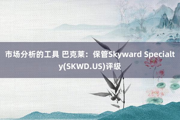 市场分析的工具 巴克莱：保管Skyward Specialty(SKWD.US)评级