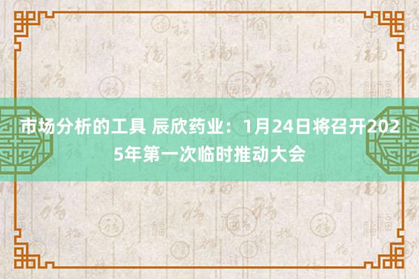 市场分析的工具 辰欣药业：1月24日将召开2025年第一次临时推动大会