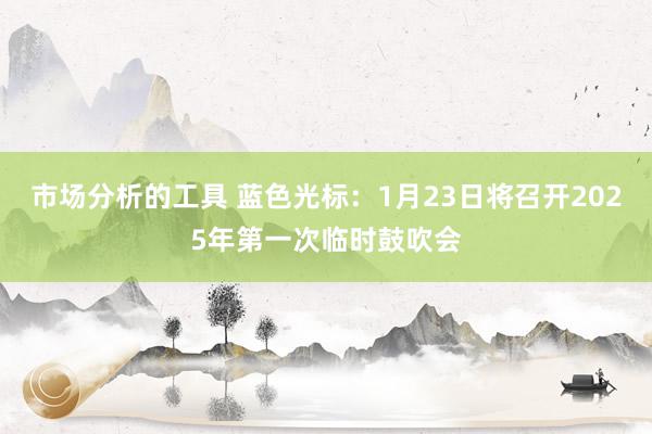 市场分析的工具 蓝色光标：1月23日将召开2025年第一次临时鼓吹会