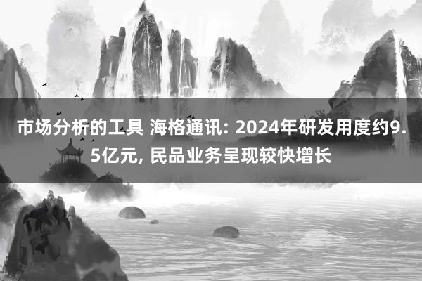 市场分析的工具 海格通讯: 2024年研发用度约9.5亿元, 民品业务呈现较快增长