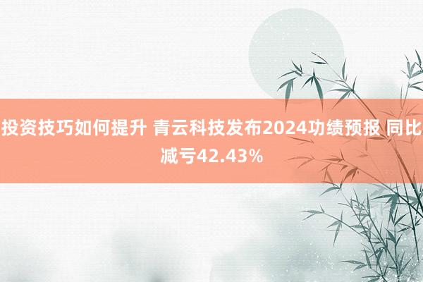 投资技巧如何提升 青云科技发布2024功绩预报 同比减亏42.43%