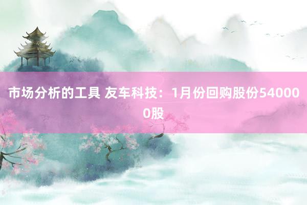 市场分析的工具 友车科技：1月份回购股份540000股