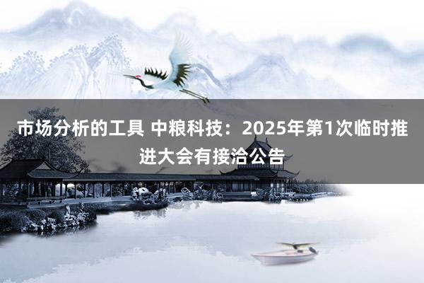 市场分析的工具 中粮科技：2025年第1次临时推进大会有接洽公告