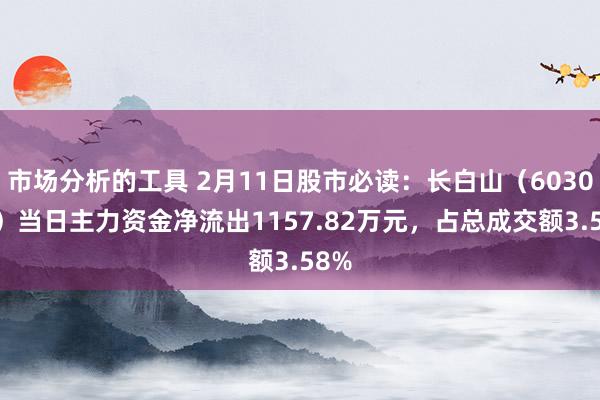 市场分析的工具 2月11日股市必读：长白山（603099）当日主力资金净流出1157.82万元，占总成交额3.58%