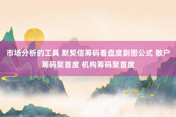 市场分析的工具 默契信筹码看盘度副图公式 散户筹码聚首度 机构筹码聚首度