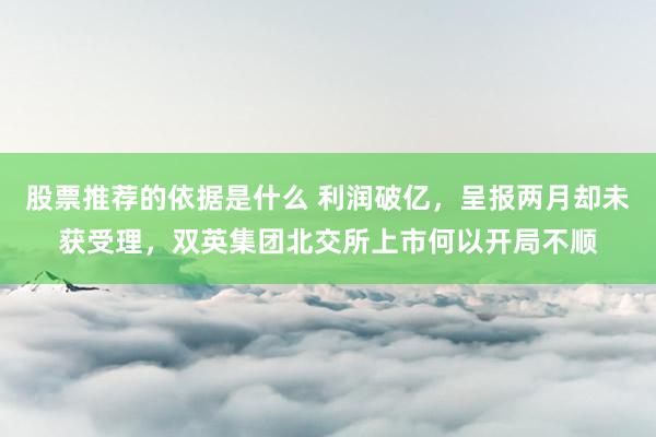 股票推荐的依据是什么 利润破亿，呈报两月却未获受理，双英集团北交所上市何以开局不顺