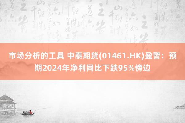 市场分析的工具 中泰期货(01461.HK)盈警：预期2024年净利同比下跌95%傍边