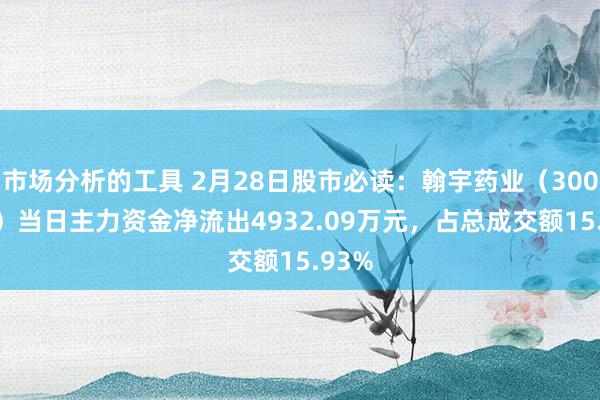 市场分析的工具 2月28日股市必读：翰宇药业（300199）当日主力资金净流出4932.09万元，占总成交额15.93%