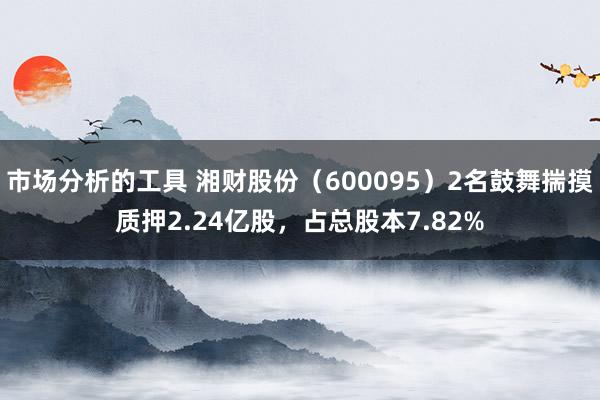 市场分析的工具 湘财股份（600095）2名鼓舞揣摸质押2.24亿股，占总股本7.82%