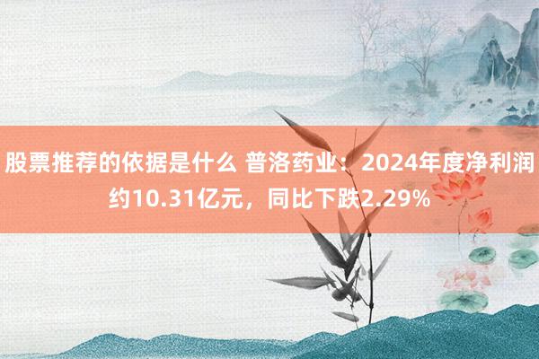 股票推荐的依据是什么 普洛药业：2024年度净利润约10.31亿元，同比下跌2.29%