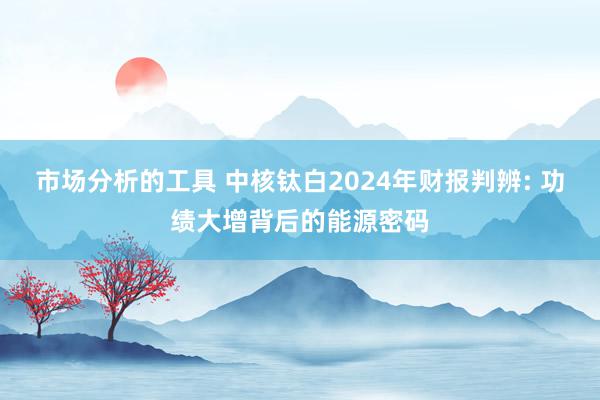 市场分析的工具 中核钛白2024年财报判辨: 功绩大增背后的