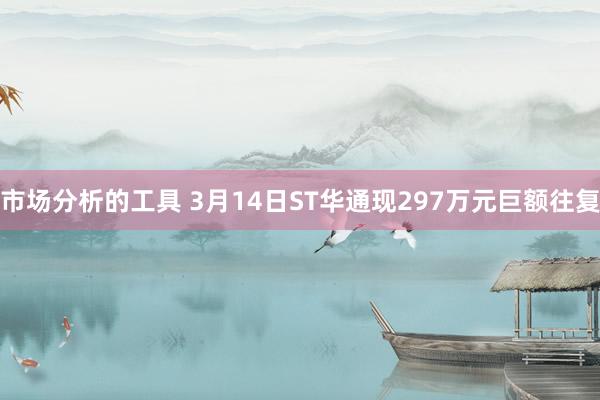 市场分析的工具 3月14日ST华通现297万元巨额往复