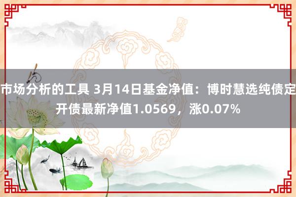 市场分析的工具 3月14日基金净值：博时慧选纯债定开债最新净