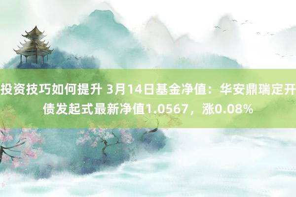 投资技巧如何提升 3月14日基金净值：华安鼎瑞定开债发起式最新净值1.0567，涨0.08%