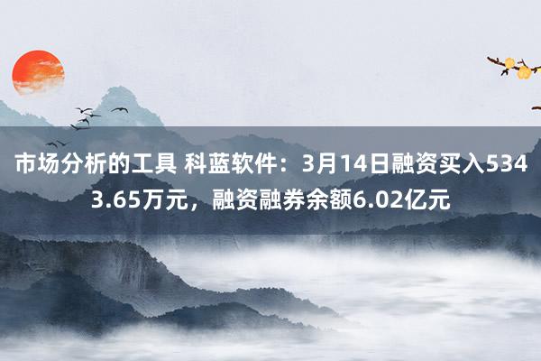 市场分析的工具 科蓝软件：3月14日融资买入5343.65万元，融资融券余额6.02亿元