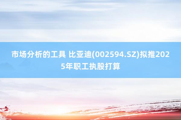 市场分析的工具 比亚迪(002594.SZ)拟推2025年职