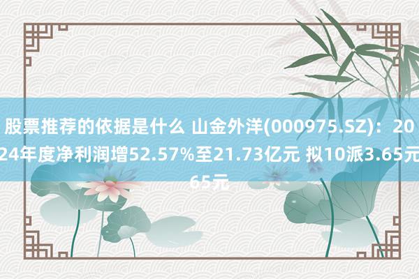 股票推荐的依据是什么 山金外洋(000975.SZ)：202