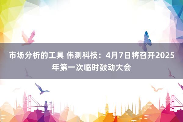 市场分析的工具 伟测科技：4月7日将召开2025年第一次临时