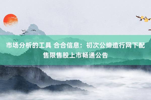 市场分析的工具 合合信息：初次公缔造行网下配售限售股上市畅通公告